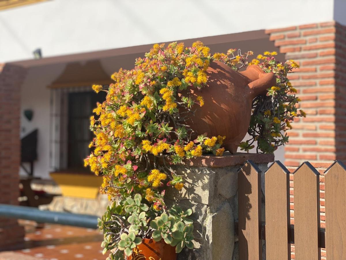 Affittacamere Casas Guemon Zahora Esterno foto