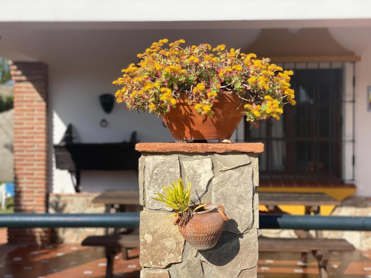Affittacamere Casas Guemon Zahora Esterno foto